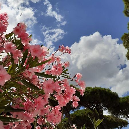 Romea Family Camping Casal Borsetti Εξωτερικό φωτογραφία