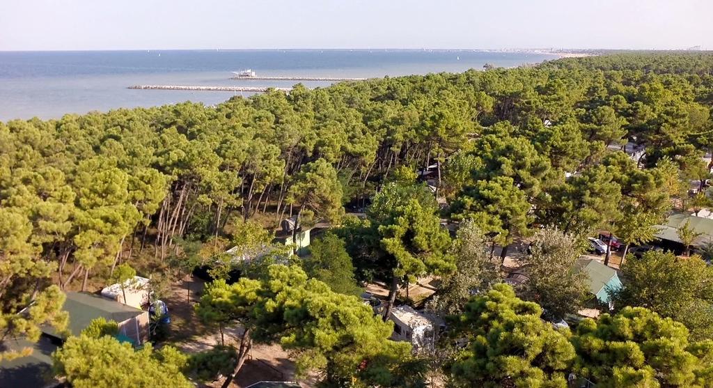 Romea Family Camping Casal Borsetti Εξωτερικό φωτογραφία