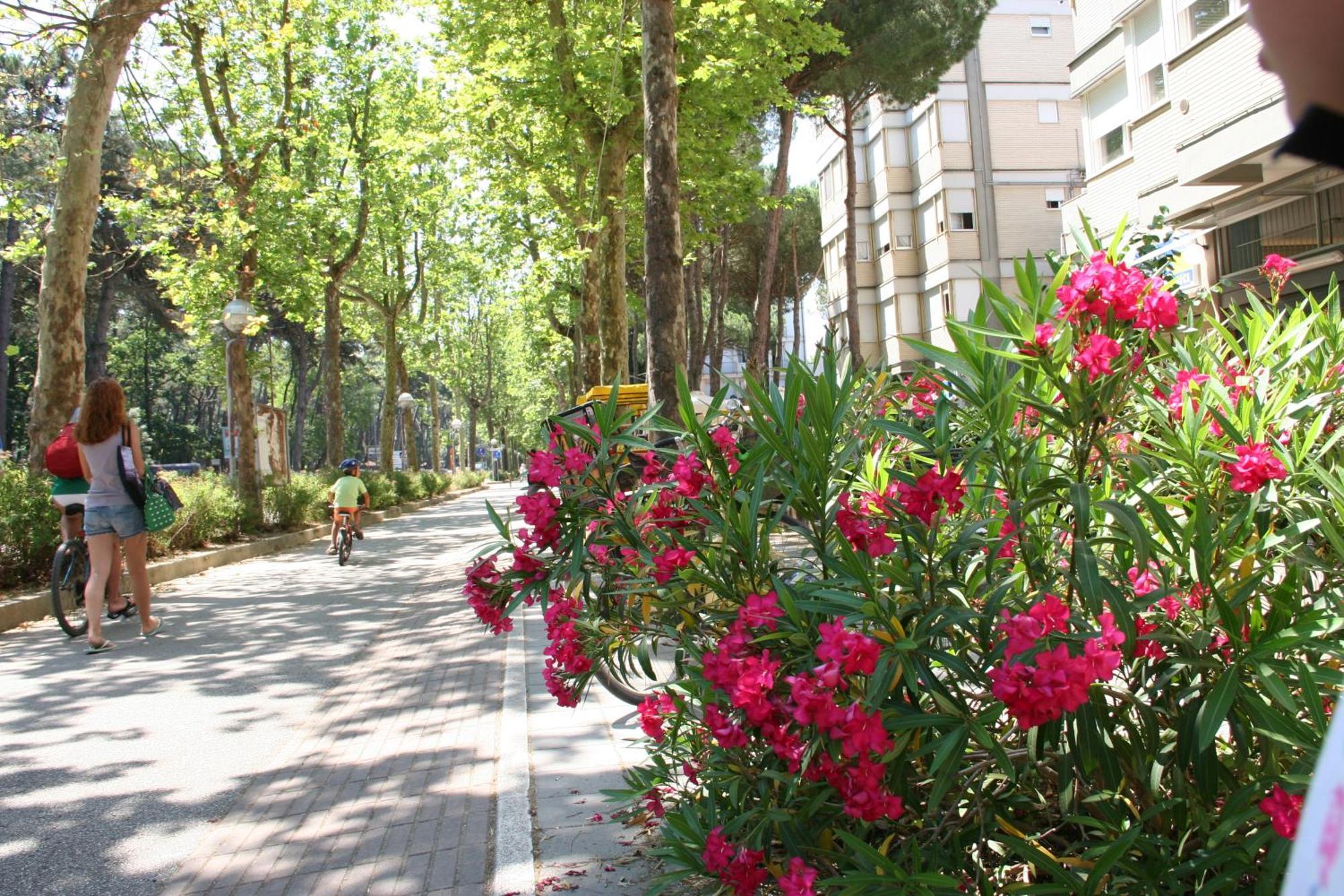 Romea Family Camping Casal Borsetti Εξωτερικό φωτογραφία
